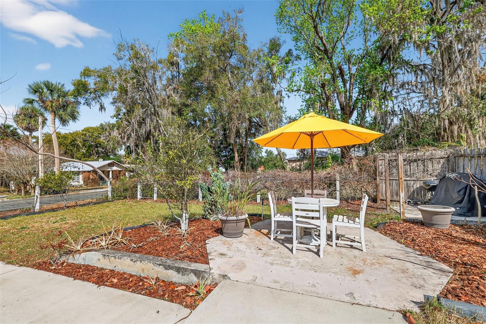 342 S CLAYTON ST, MOUNT DORA, FL — photo 53