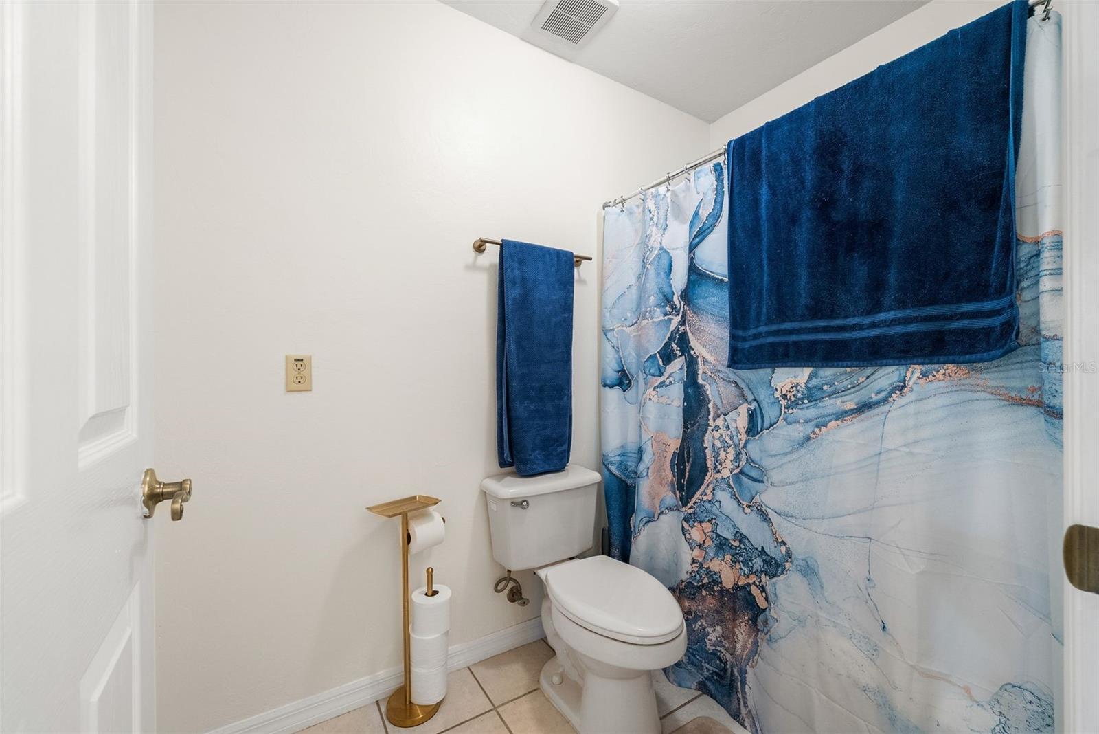 244 SW LOBLOLLY PL, LAKE CITY, FL — photo 25