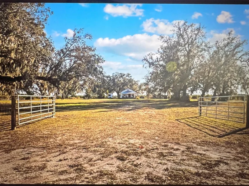 8423 NW PINE LEVEL ST, ARCADIA, FL