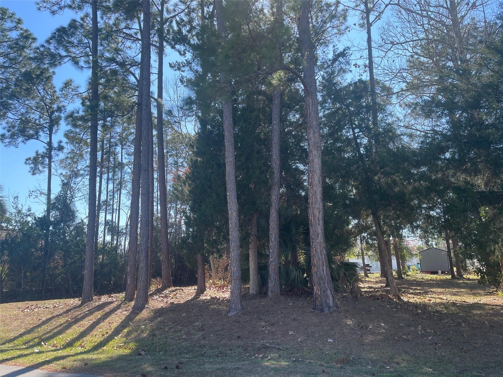 60 BIRCHWOOD DR, PALM COAST, FL