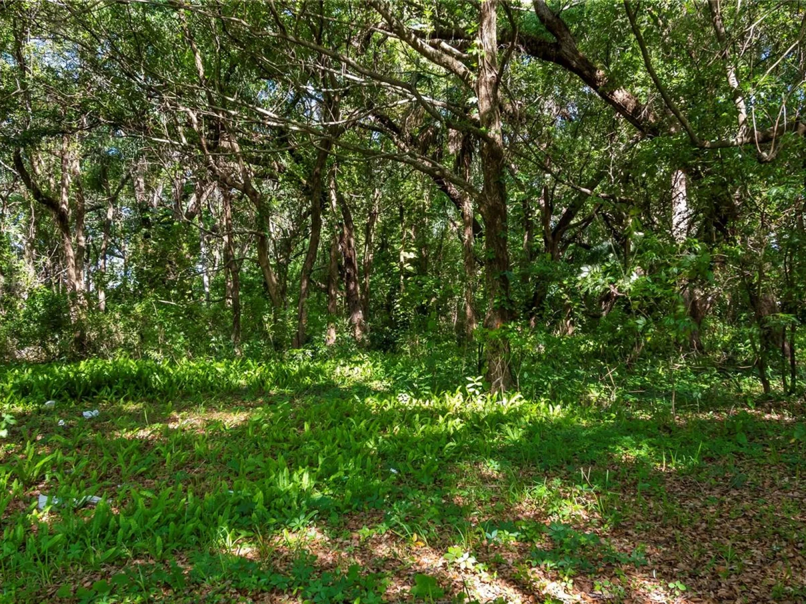 1500 N HOAGLAND BLVD, KISSIMMEE, FL — photo 23