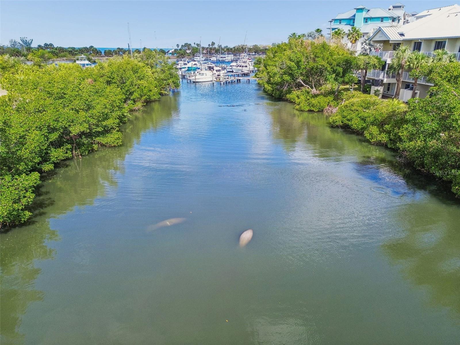 454 BAHIA BEACH BLVD, RUSKIN, FL — photo 11