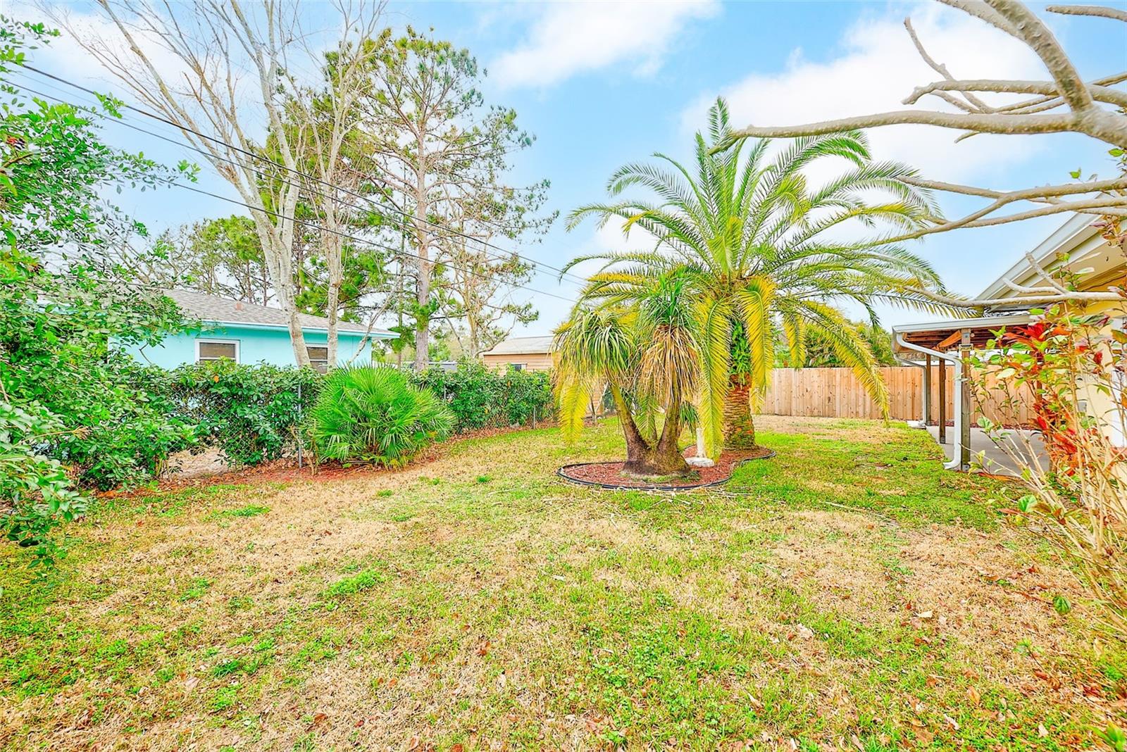 1465 BAYVIEW DR, CLEARWATER, FL — photo 40