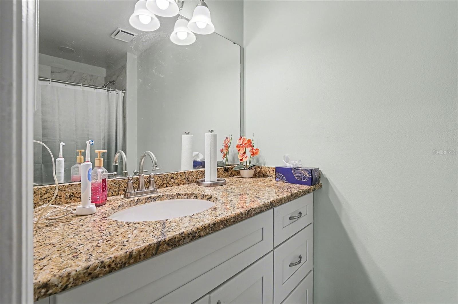 12435 ORANGEWOOD CIR, TAVARES, FL — photo 41