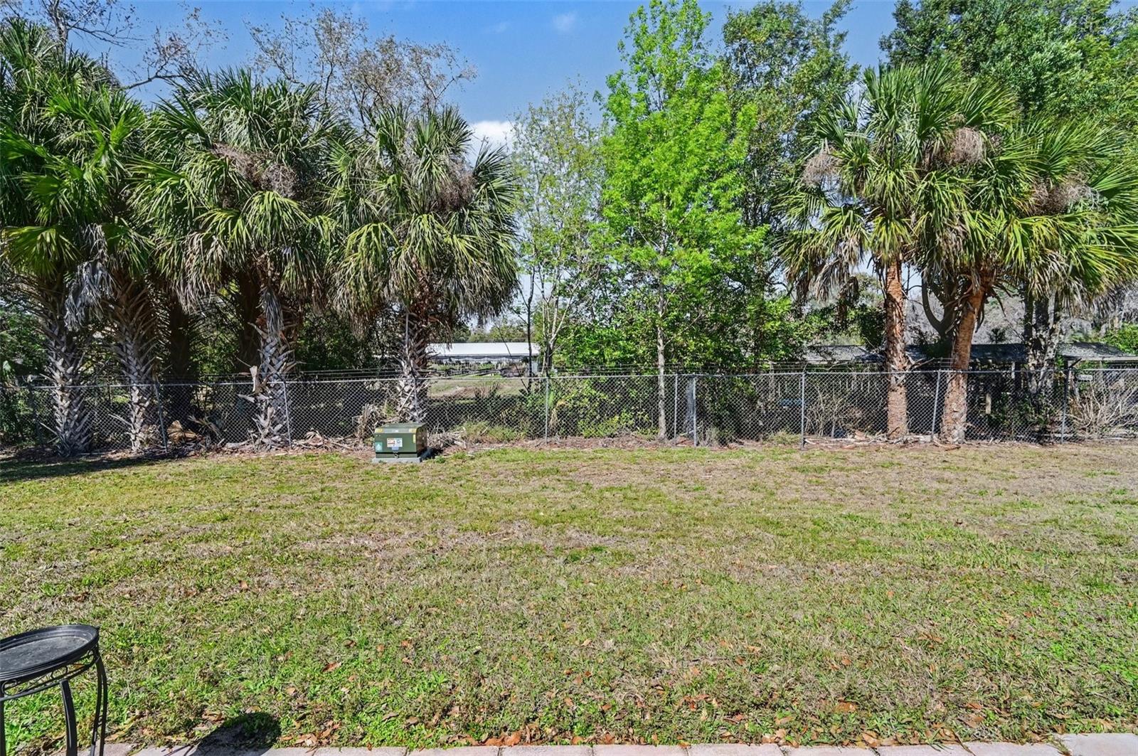 12435 ORANGEWOOD CIR, TAVARES, FL — photo 53