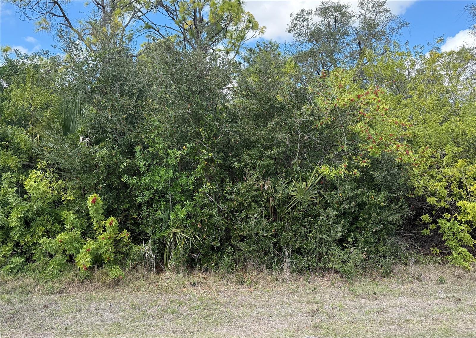 33 CHESHIRE ST, PORT CHARLOTTE, FL