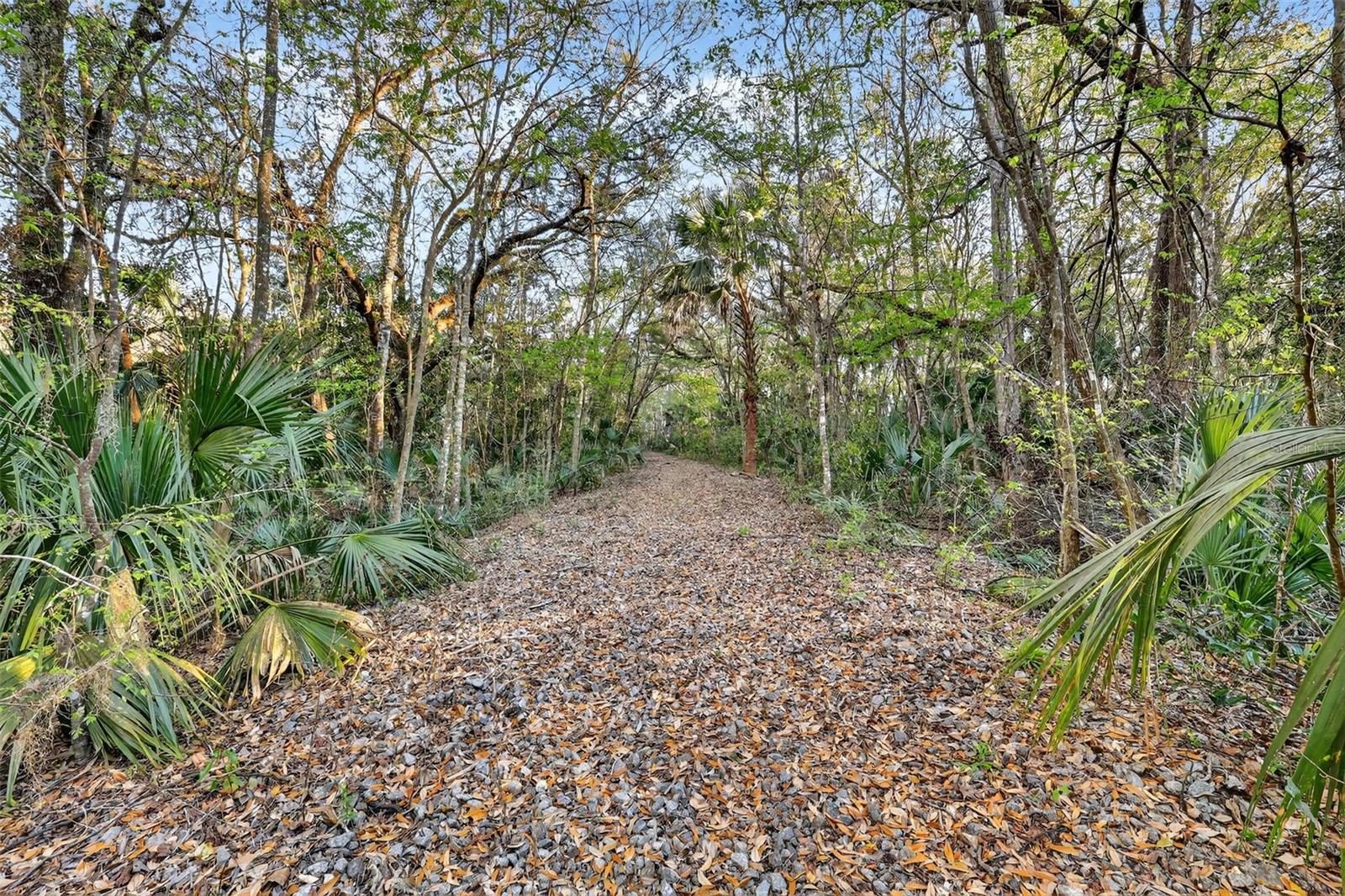 1721 COUNTY ROAD 25A, LEESBURG, FL — photo 11