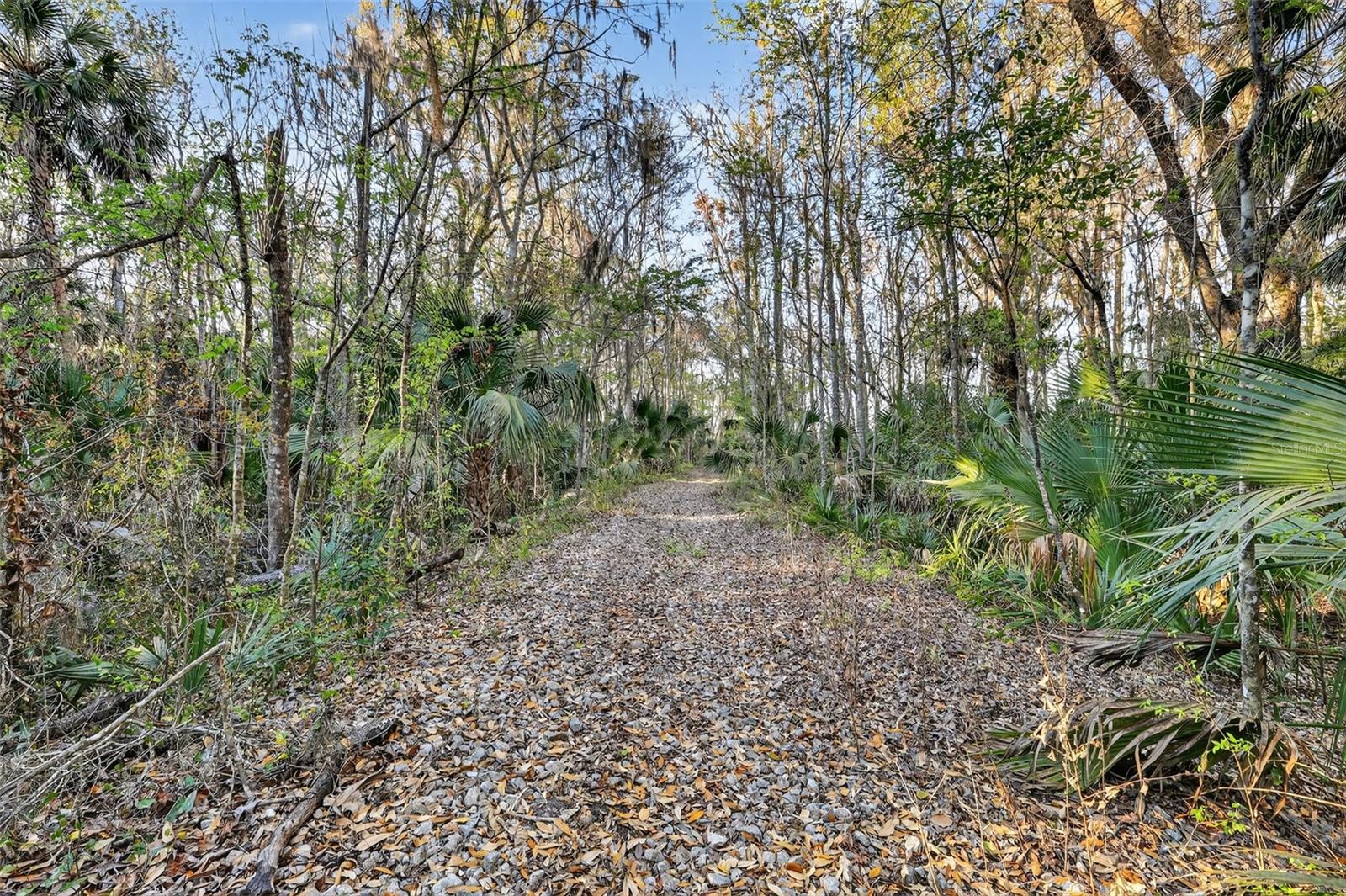 1721 COUNTY ROAD 25A, LEESBURG, FL — photo 13