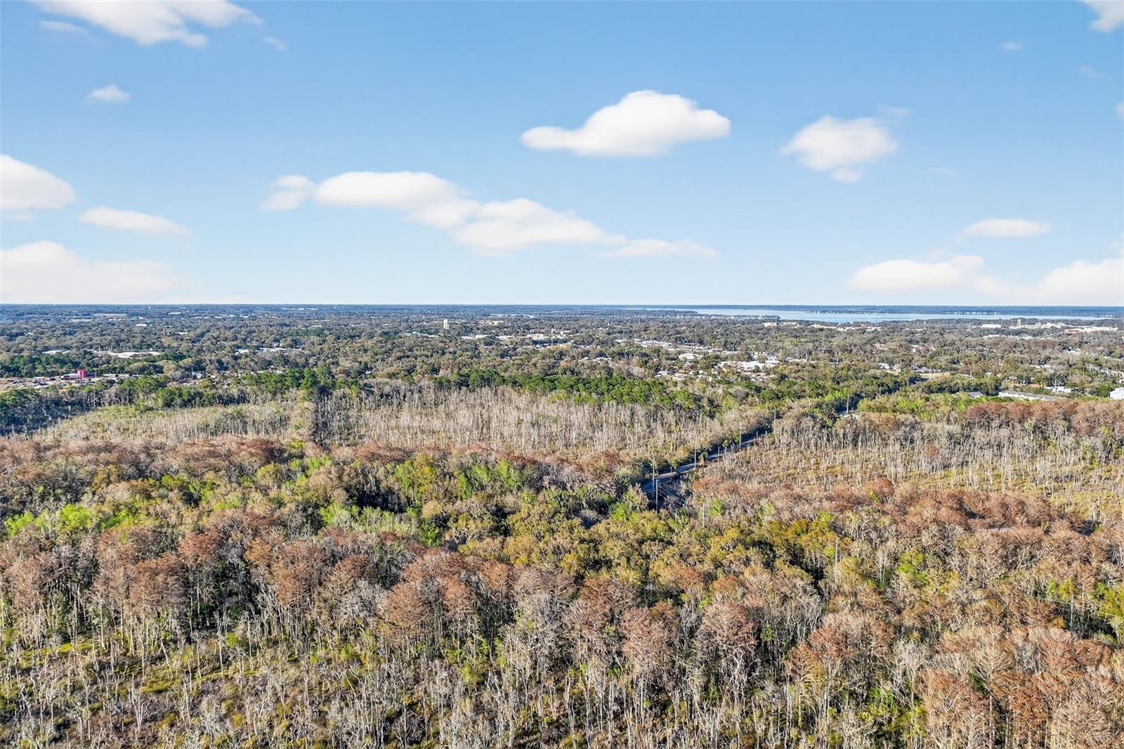 1721 COUNTY ROAD 25A, LEESBURG, FL — photo 28