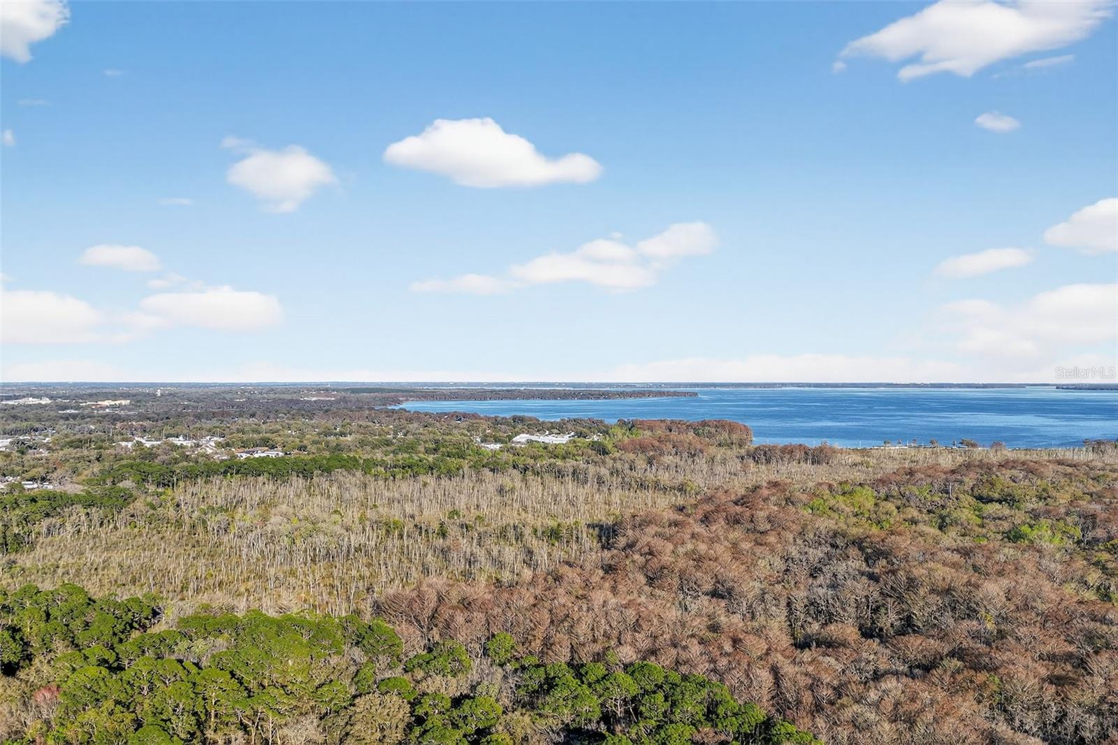 1721 COUNTY ROAD 25A, LEESBURG, FL — photo 31
