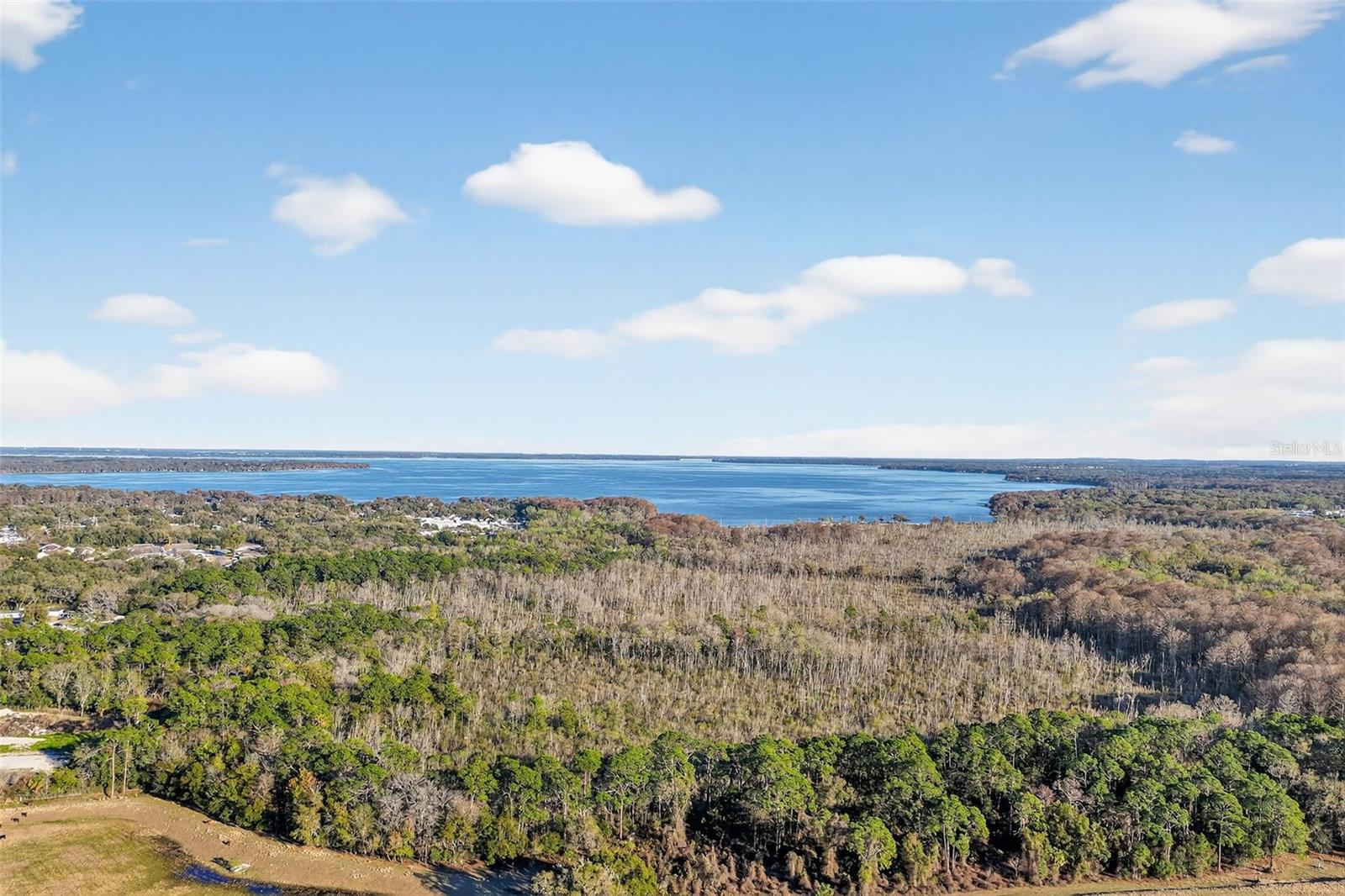 1721 COUNTY ROAD 25A, LEESBURG, FL — photo 36