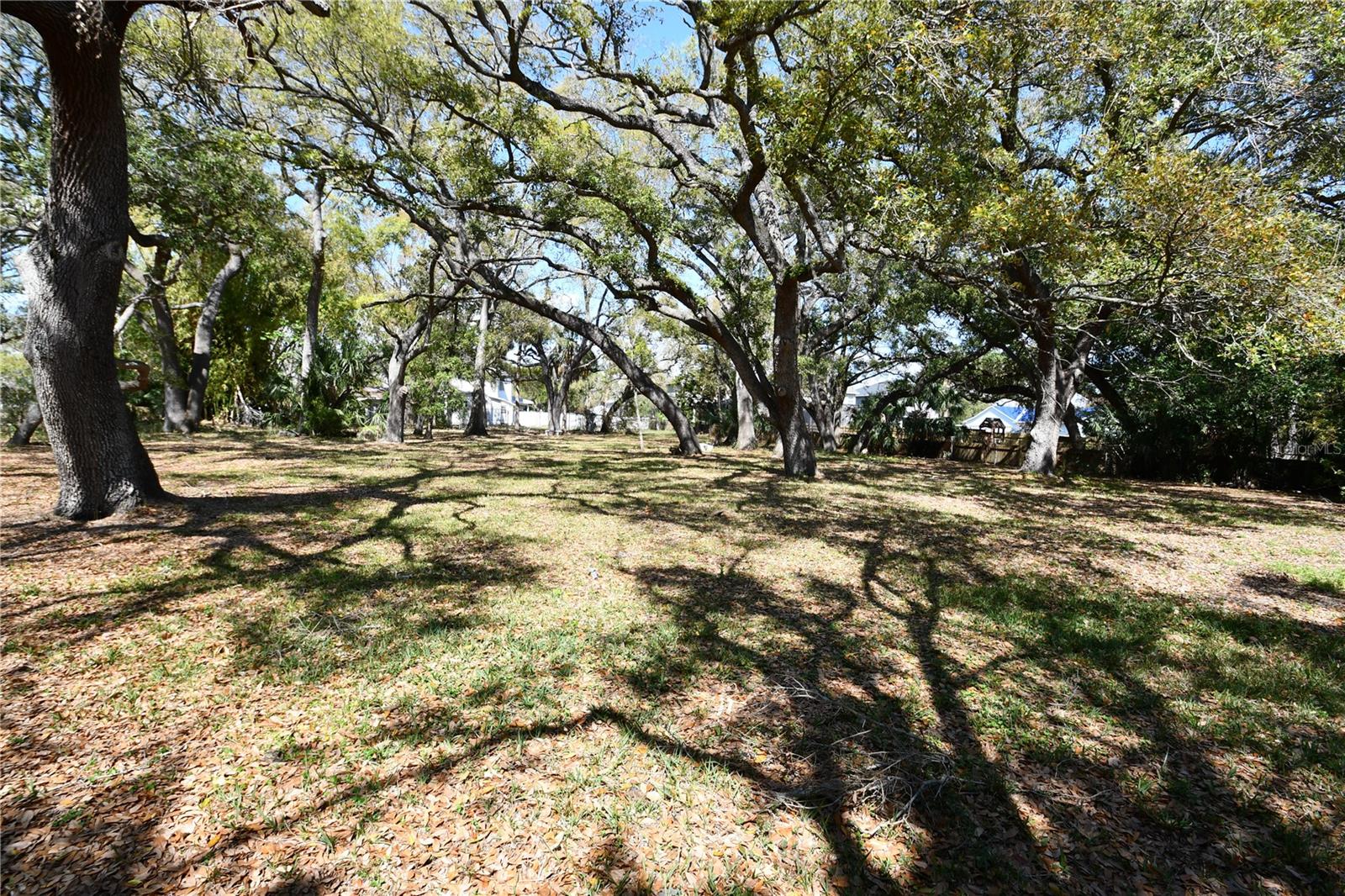 8020 INTERBAY BLVD, TAMPA, FL — photo 52