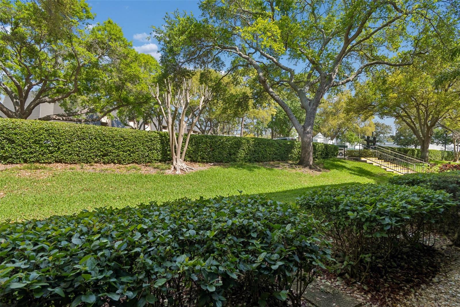 36750 US HIGHWAY 19 N #13118, PALM HARBOR, FL — photo 24