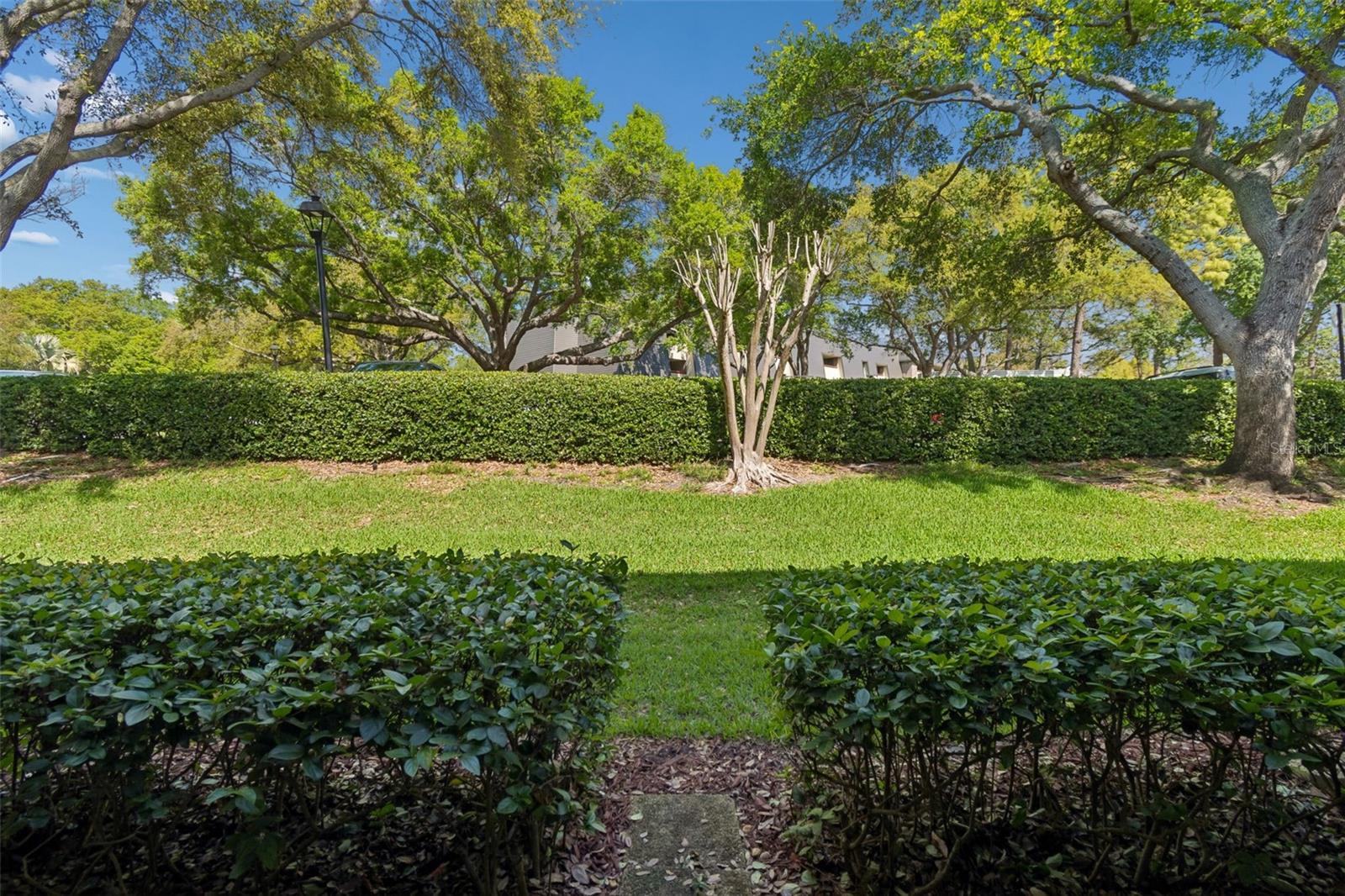 36750 US HIGHWAY 19 N #13118, PALM HARBOR, FL — photo 25