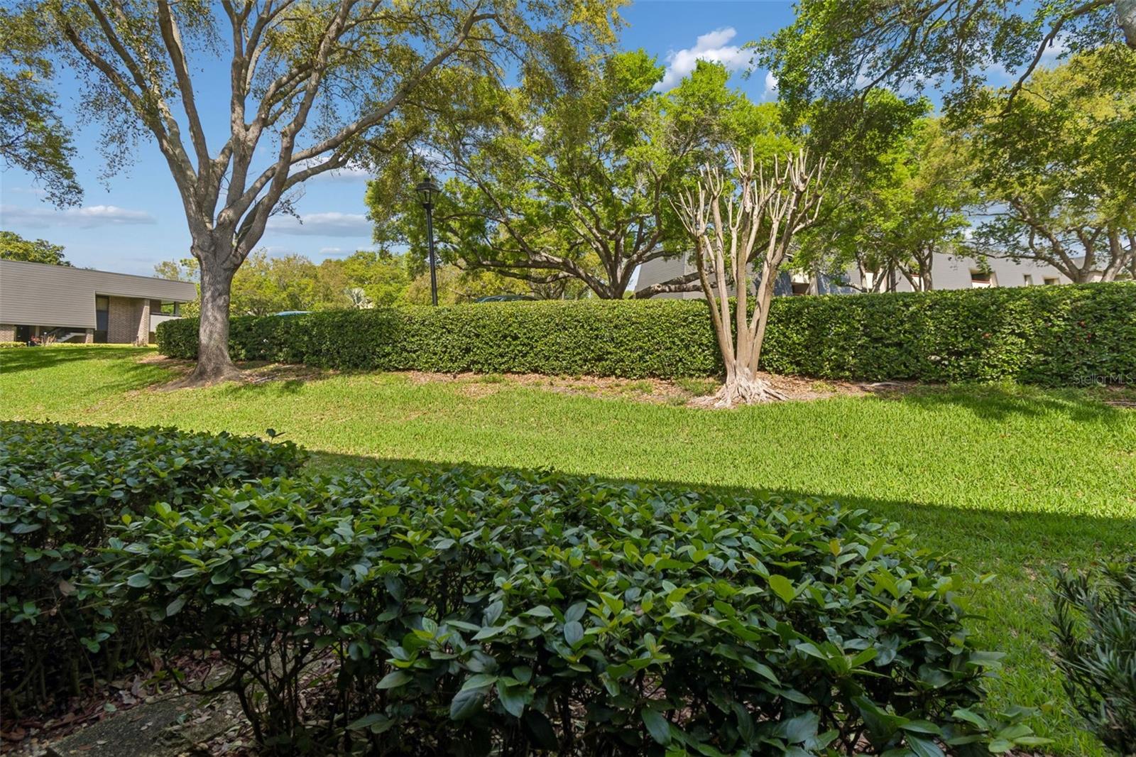 36750 US HIGHWAY 19 N #13118, PALM HARBOR, FL — photo 26