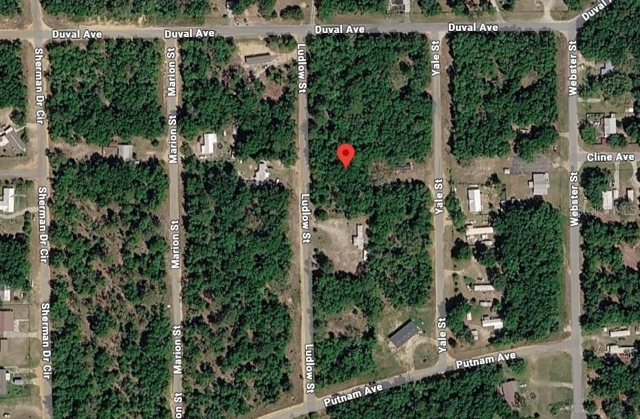 LUDLOW ST, INTERLACHEN, FL — photo 4