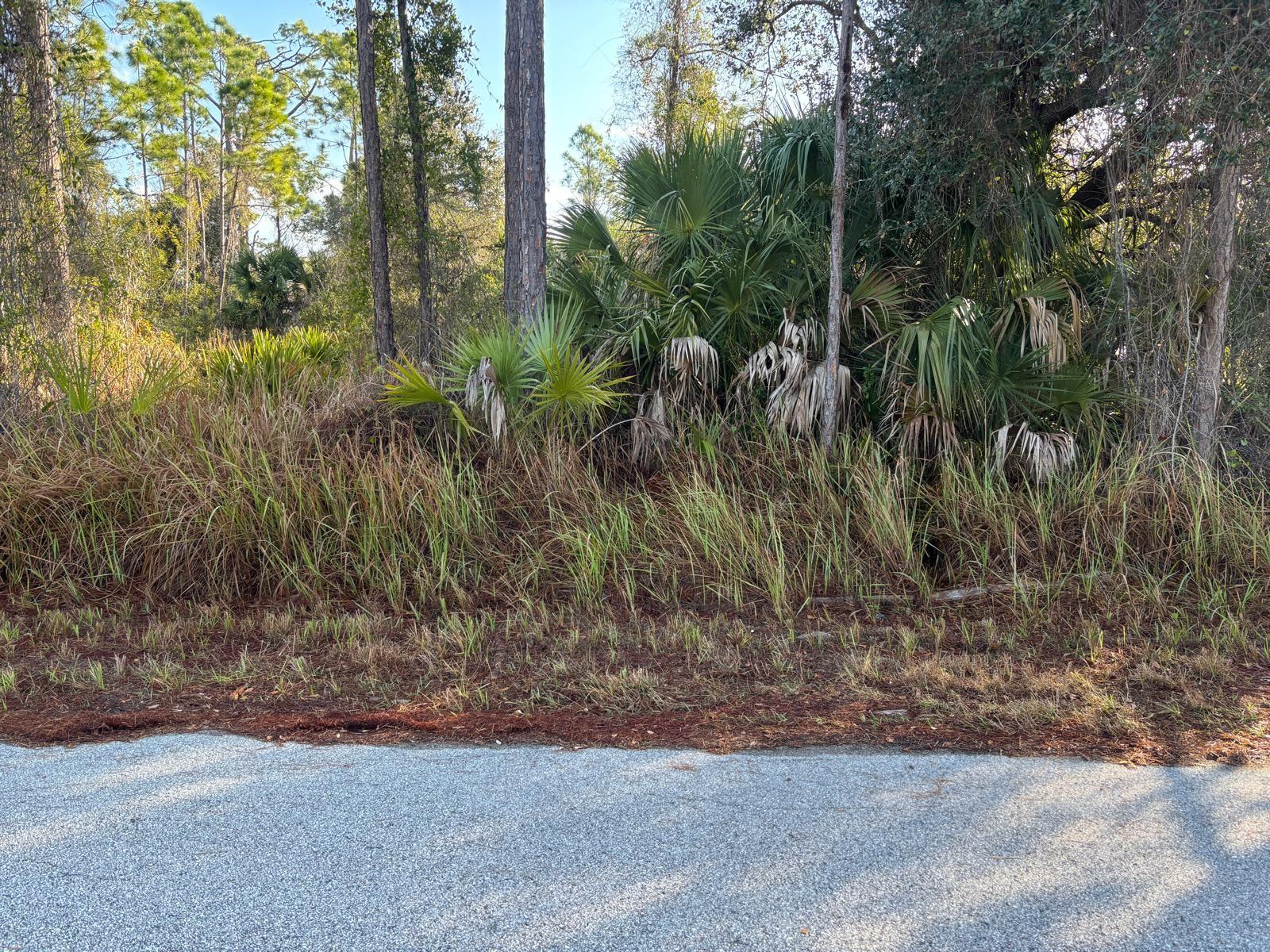 BISMARCK RD, NORTH PORT, FL