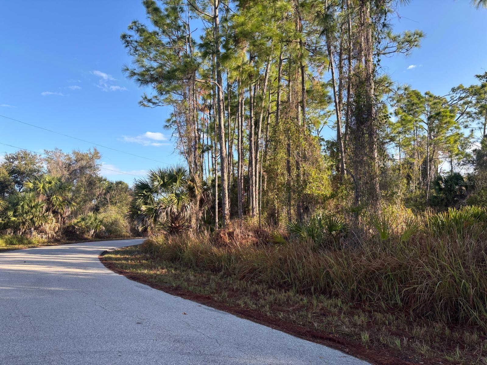 BISMARCK RD, NORTH PORT, FL — photo 3