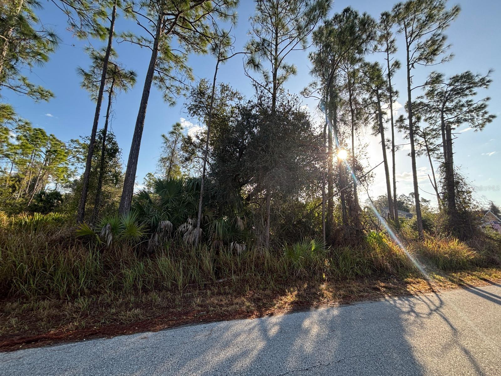 BISMARCK RD, NORTH PORT, FL — photo 5