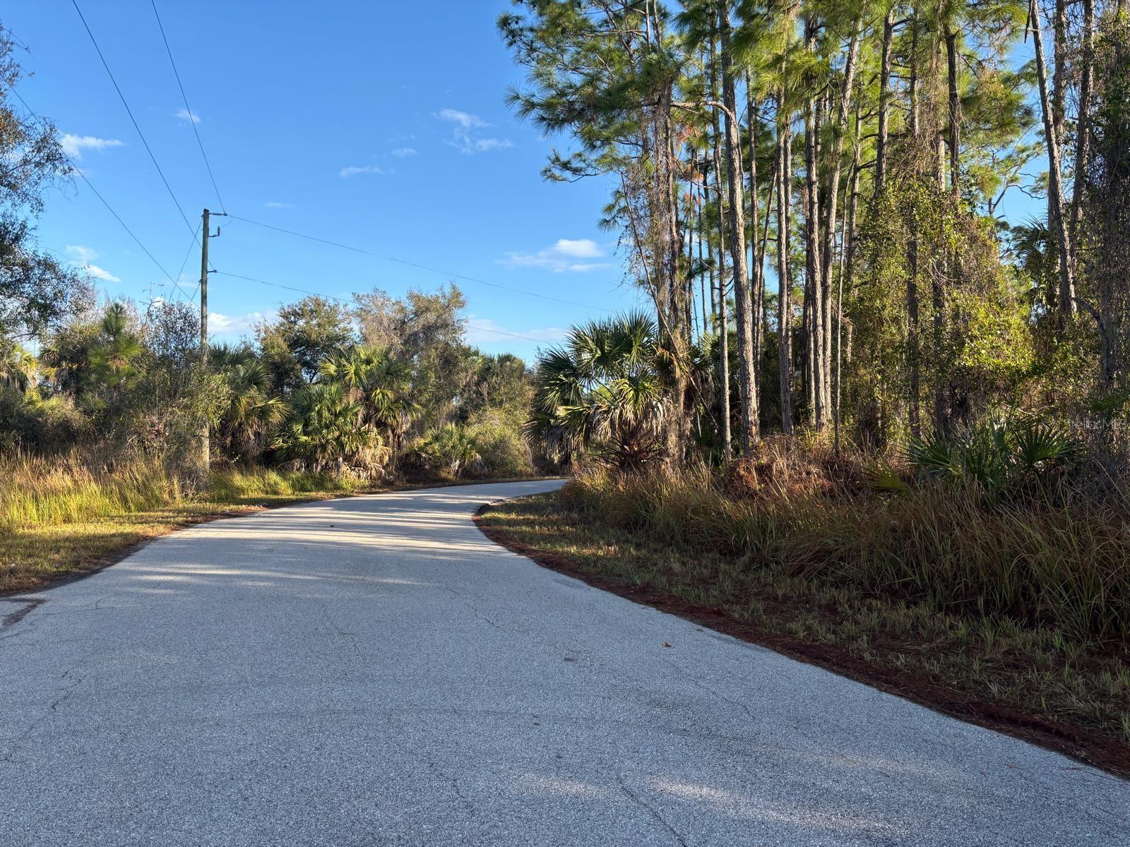 BISMARCK RD, NORTH PORT, FL — photo 6