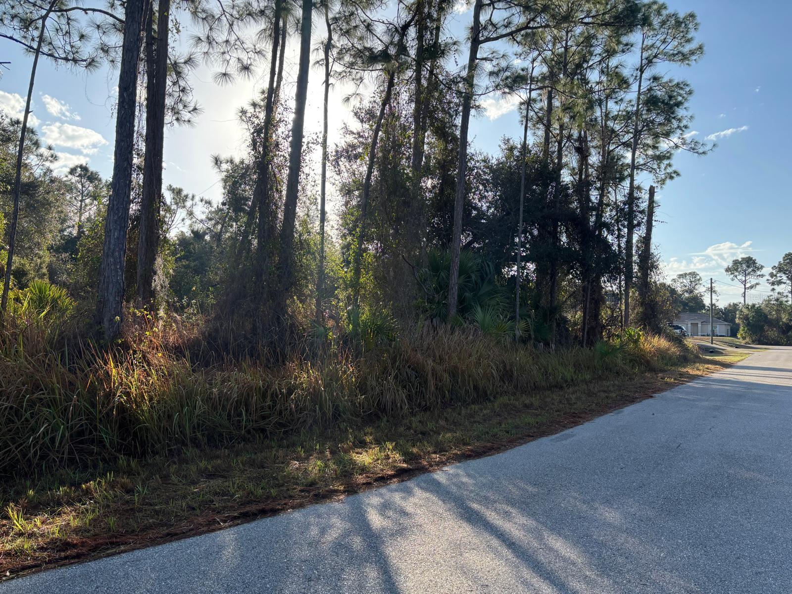 BISMARCK RD, NORTH PORT, FL — photo 7
