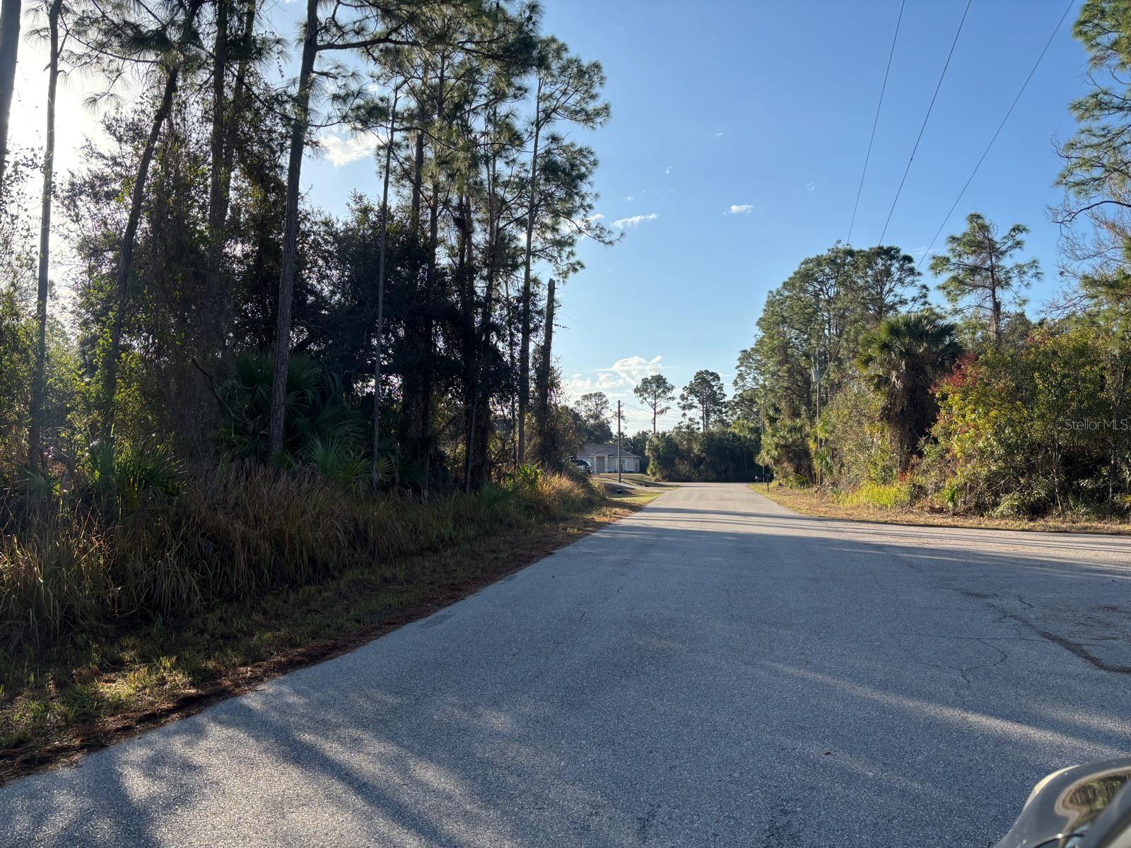 BISMARCK RD, NORTH PORT, FL — photo 9