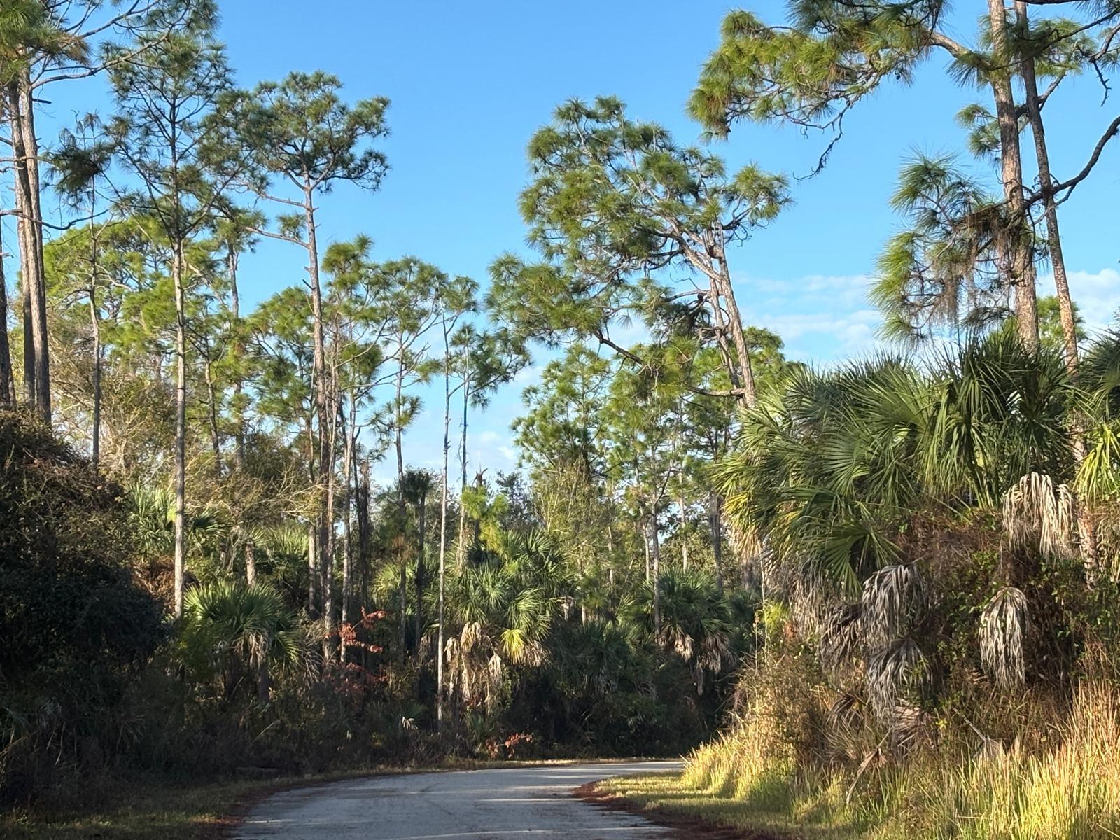 BISMARCK RD, NORTH PORT, FL — photo 10