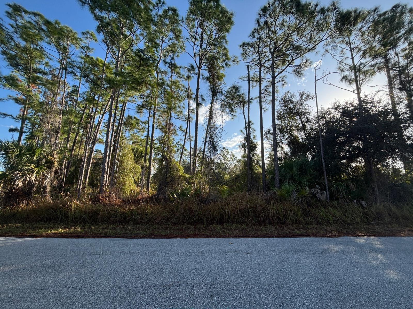 BISMARCK RD, NORTH PORT, FL — photo 11