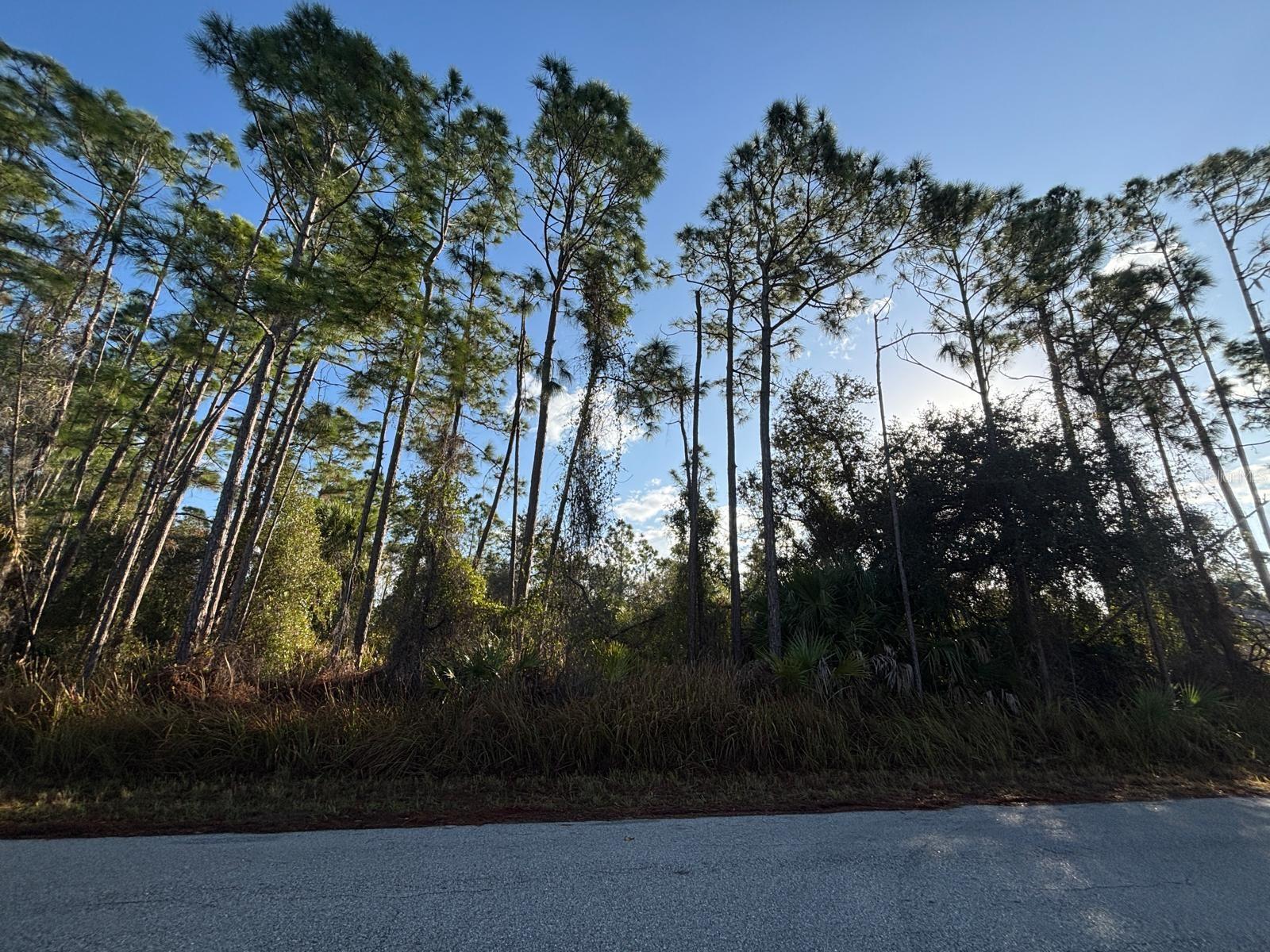 BISMARCK RD, NORTH PORT, FL — photo 12