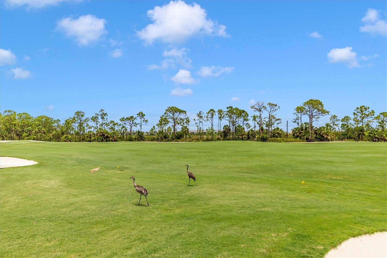 12280 WELLEN GOLF ST #205, VENICE, FL — photo 41