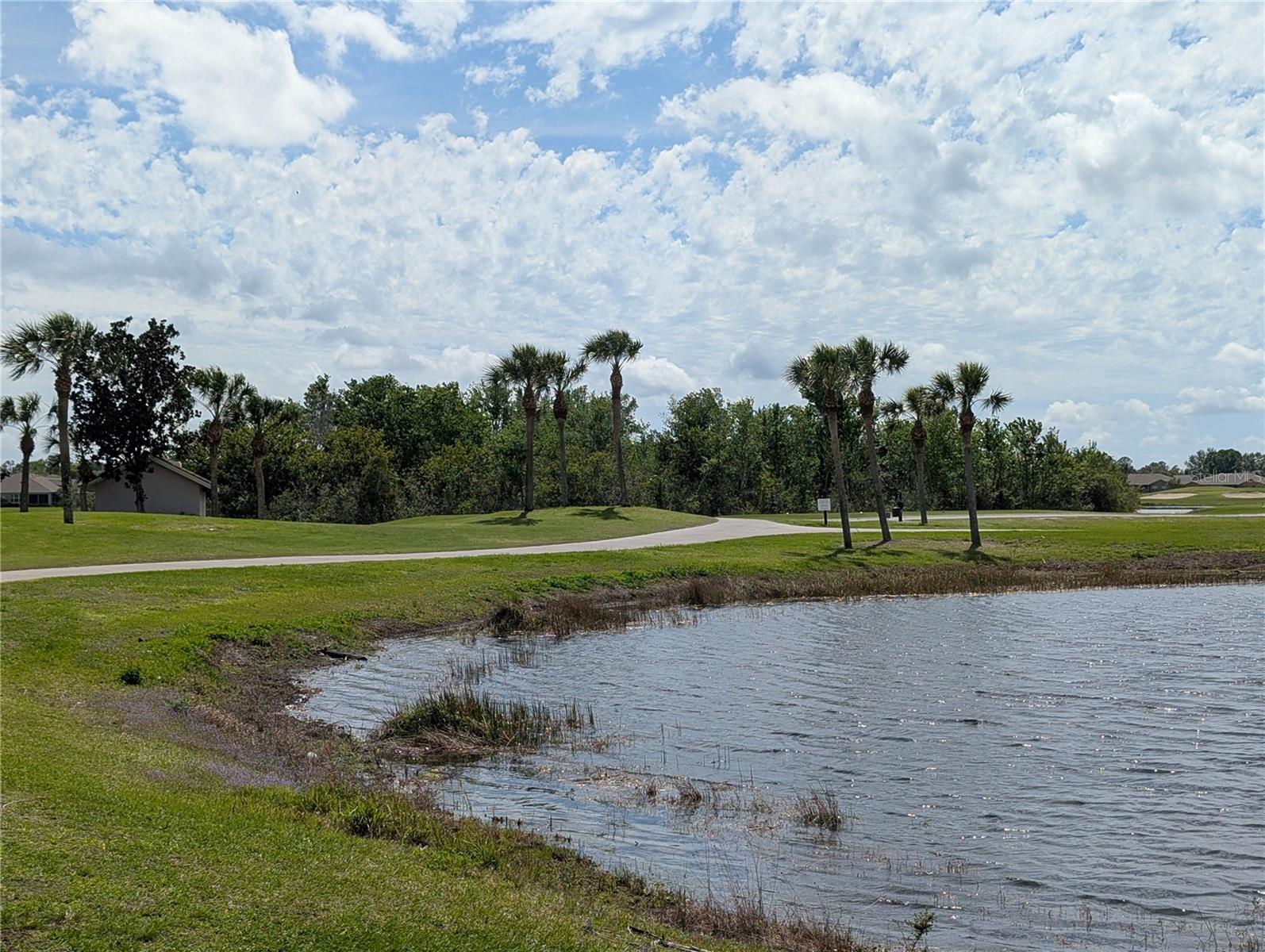 1624 LAYTON CT #1624, SUN CITY CENTER, FL — photo 25
