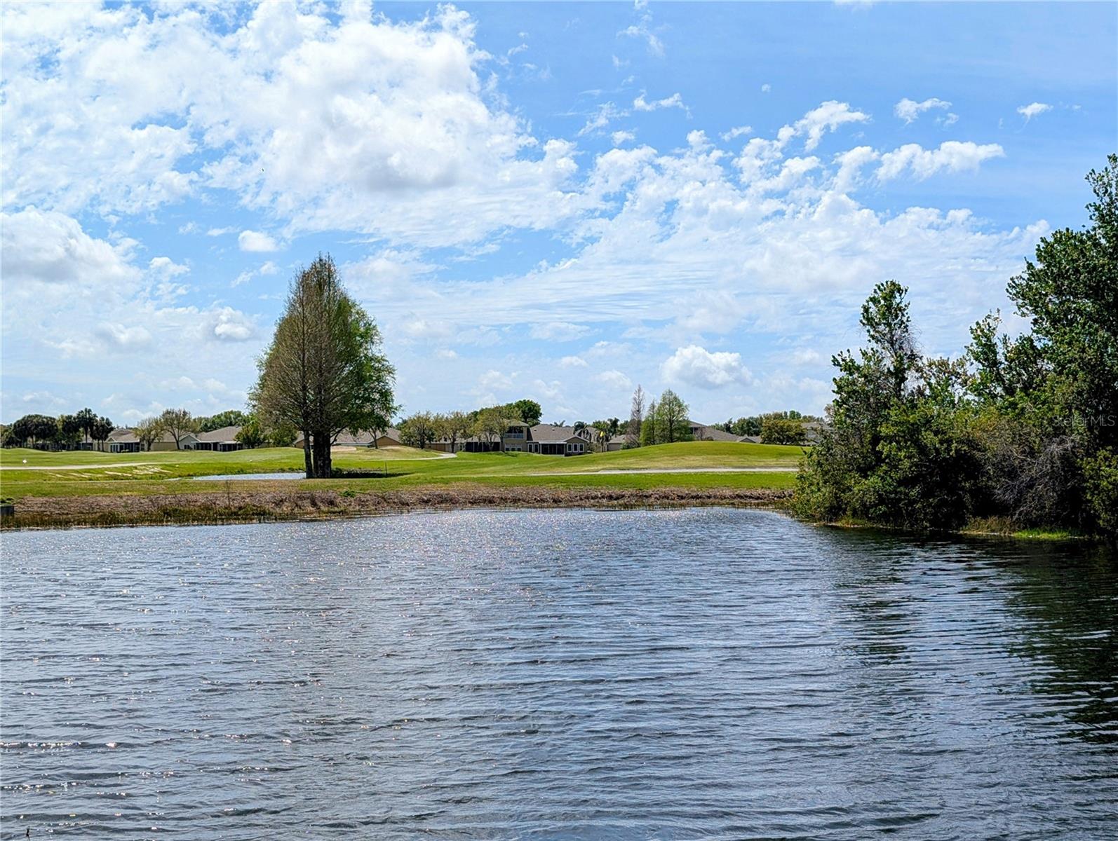 1624 LAYTON CT #1624, SUN CITY CENTER, FL — photo 26