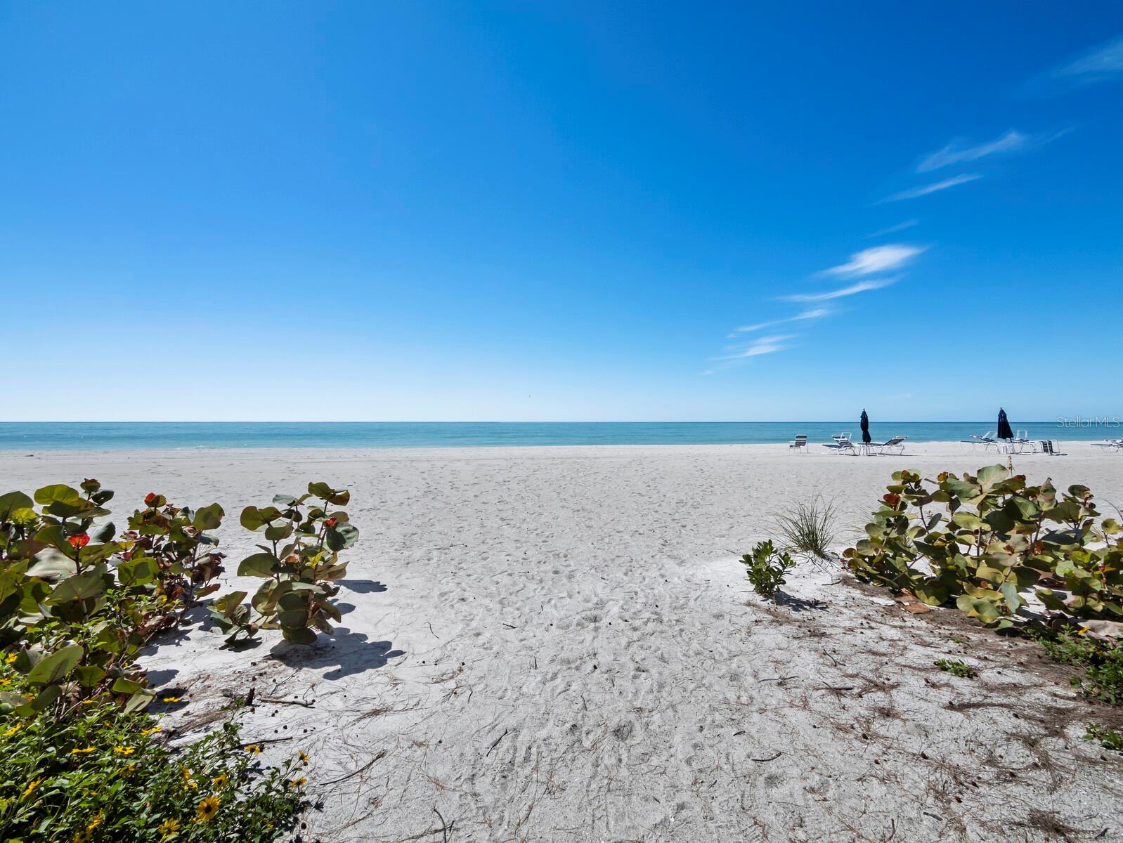 5055 GULF OF MEXICO DR #421, LONGBOAT KEY, FL — photo 27