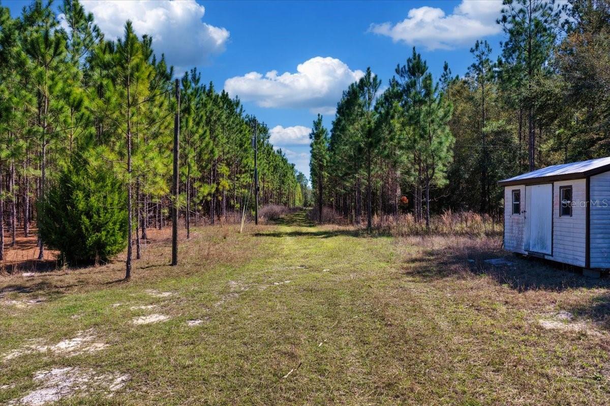 000 NW 60TH AVE, CHIEFLAND, FL — photo 5