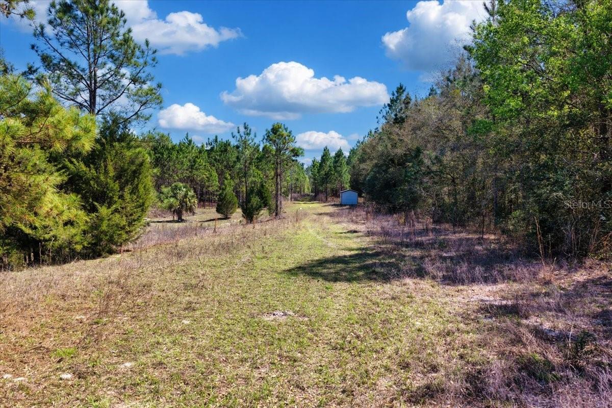 000 NW 60TH AVE, CHIEFLAND, FL — photo 6
