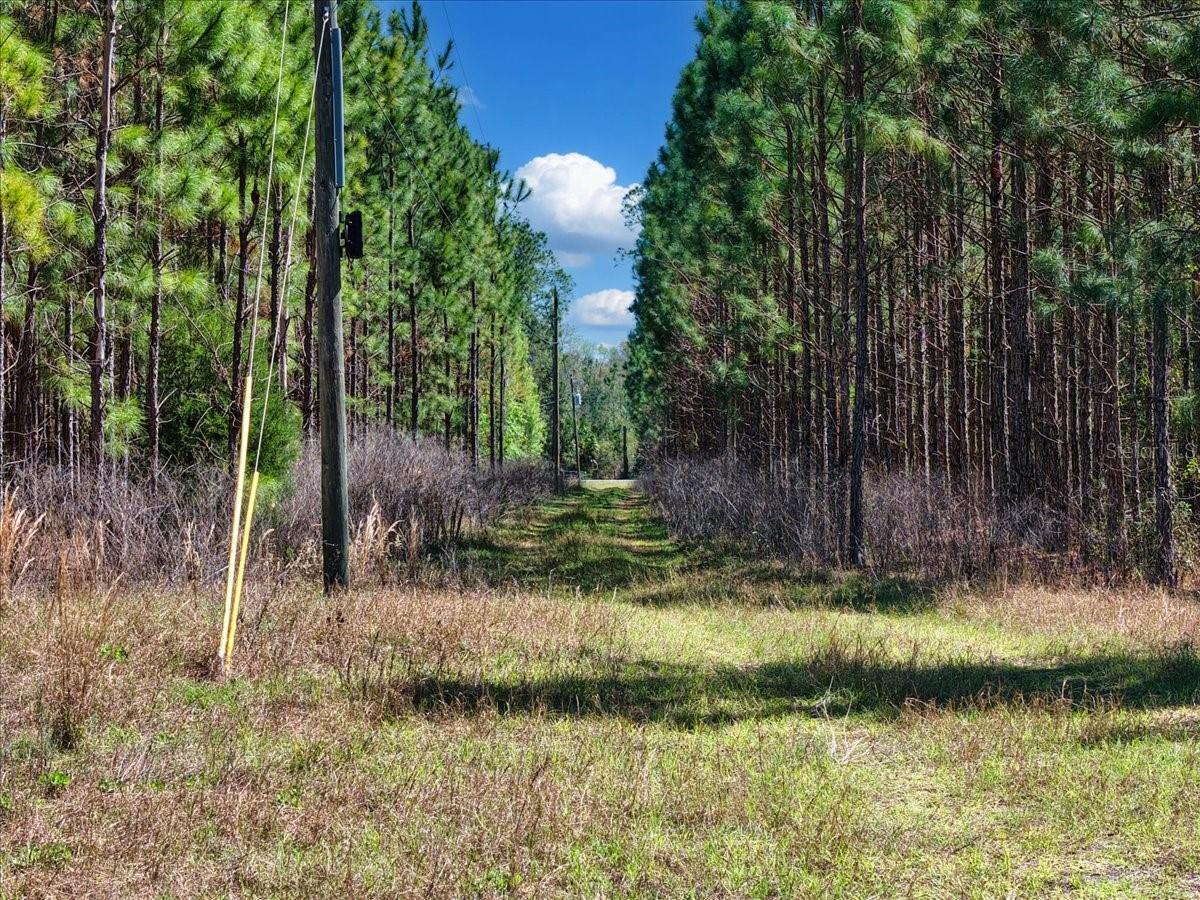 000 NW 60TH AVE, CHIEFLAND, FL — photo 7