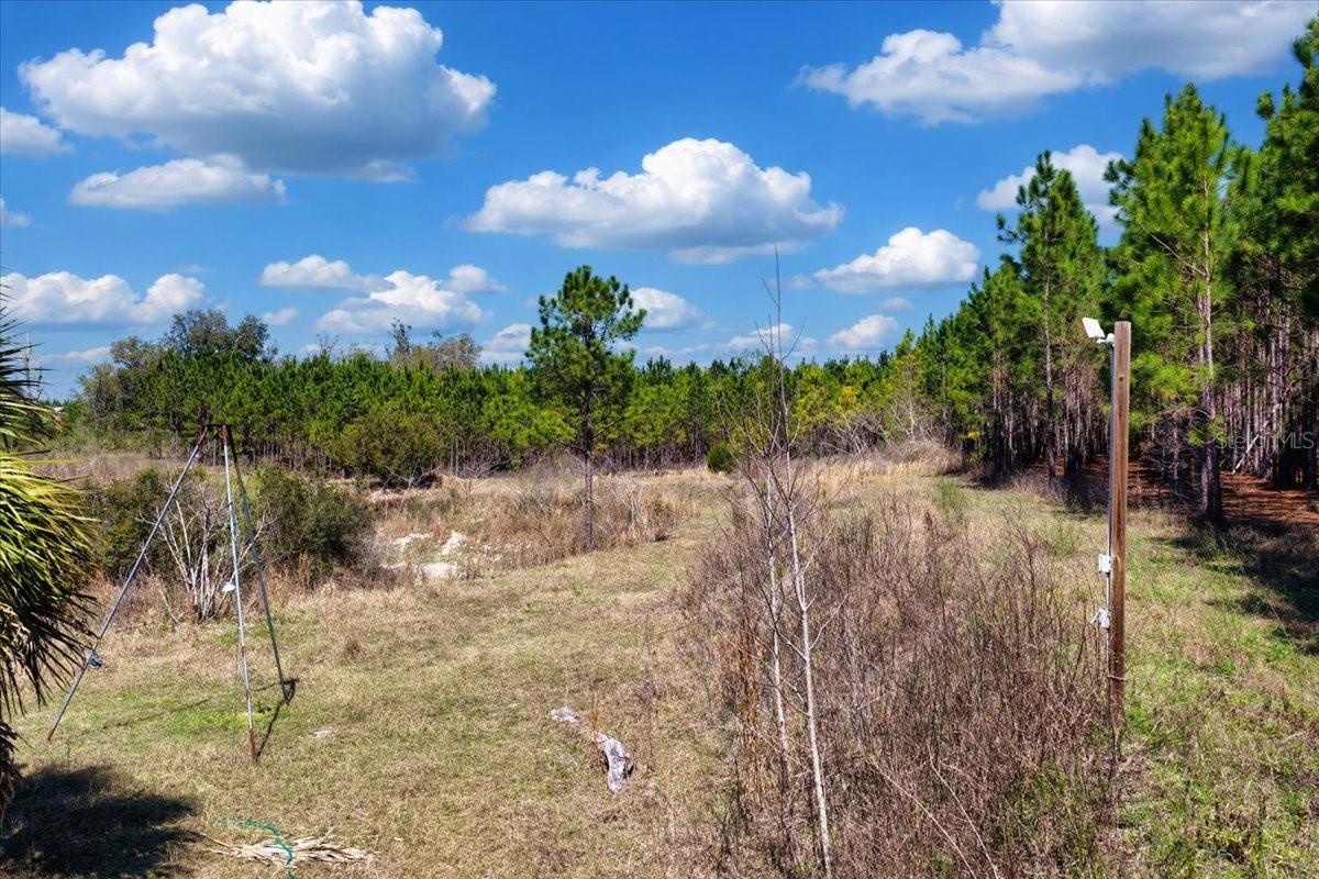 000 NW 60TH AVE, CHIEFLAND, FL — photo 10