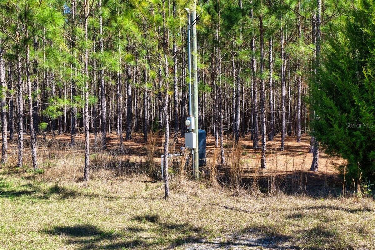 000 NW 60TH AVE, CHIEFLAND, FL — photo 11