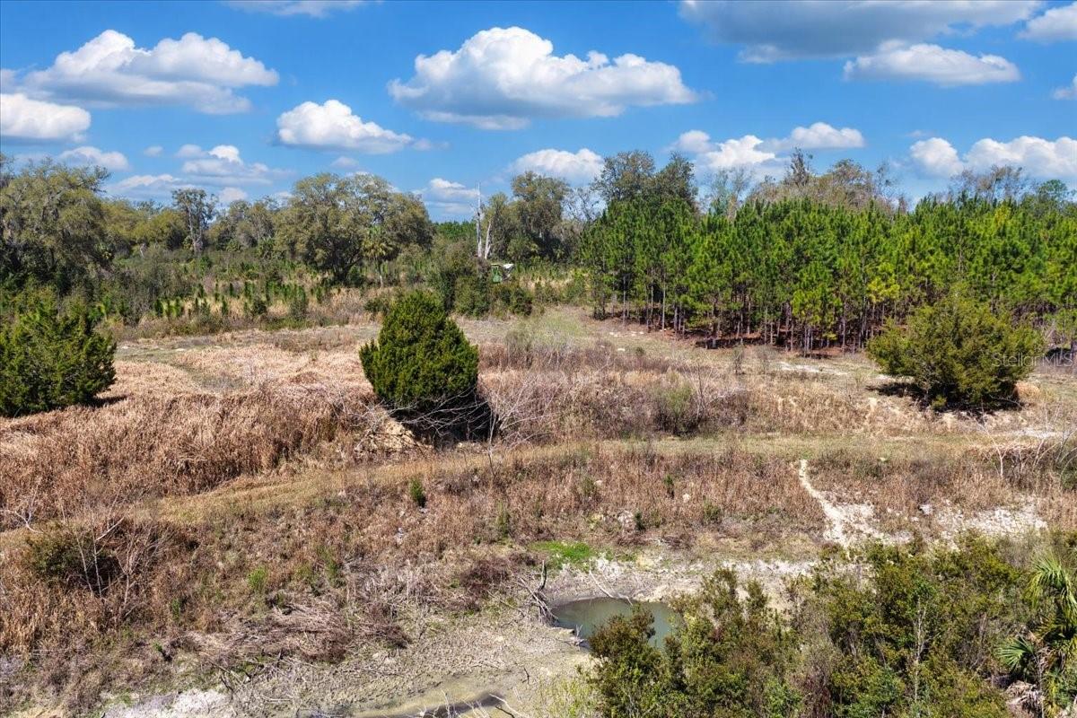 000 NW 60TH AVE, CHIEFLAND, FL — photo 14