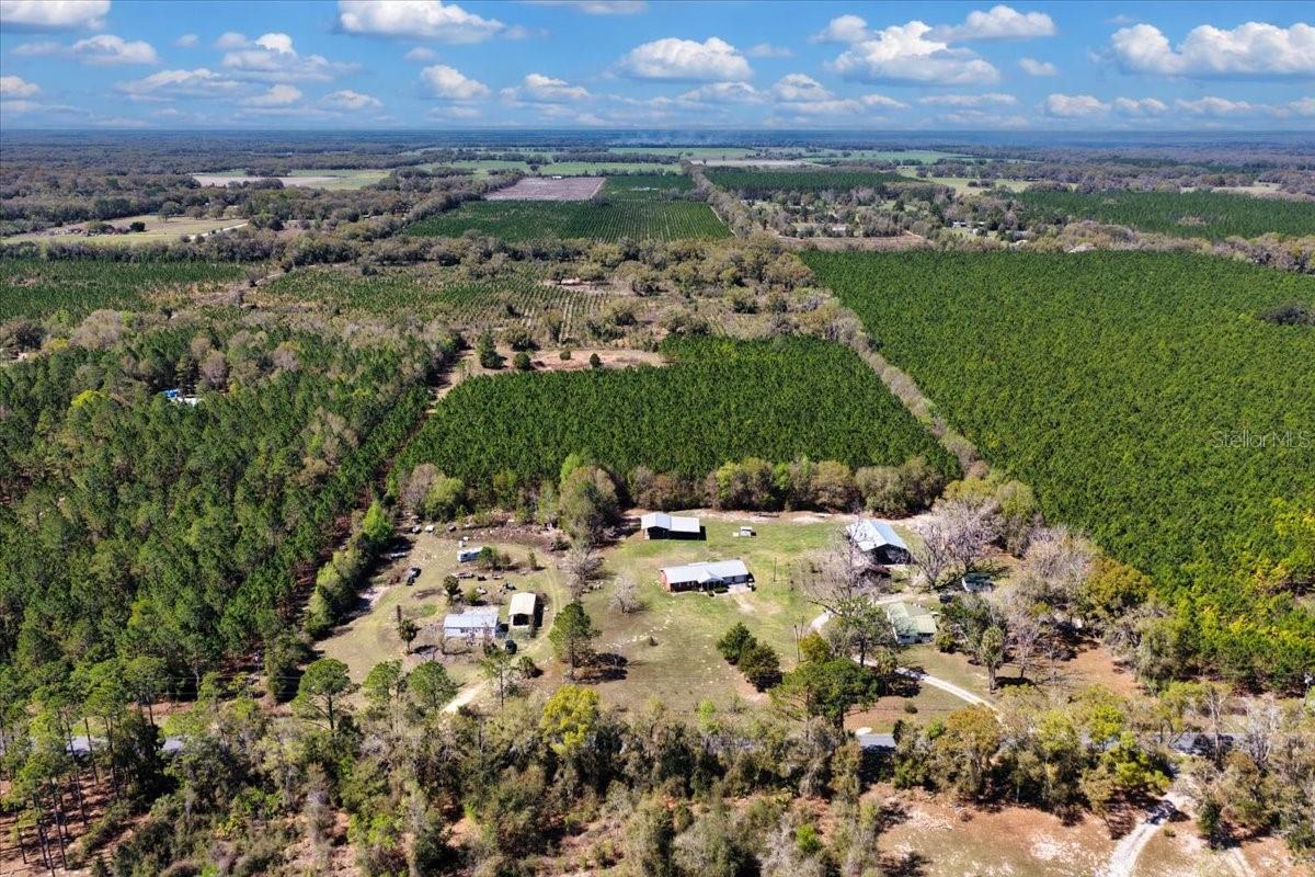 000 NW 60TH AVE, CHIEFLAND, FL — photo 16