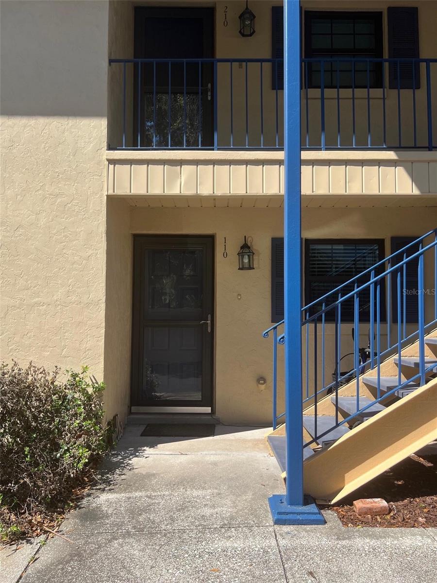 110 N TREMAIN ST #110, MOUNT DORA, FL