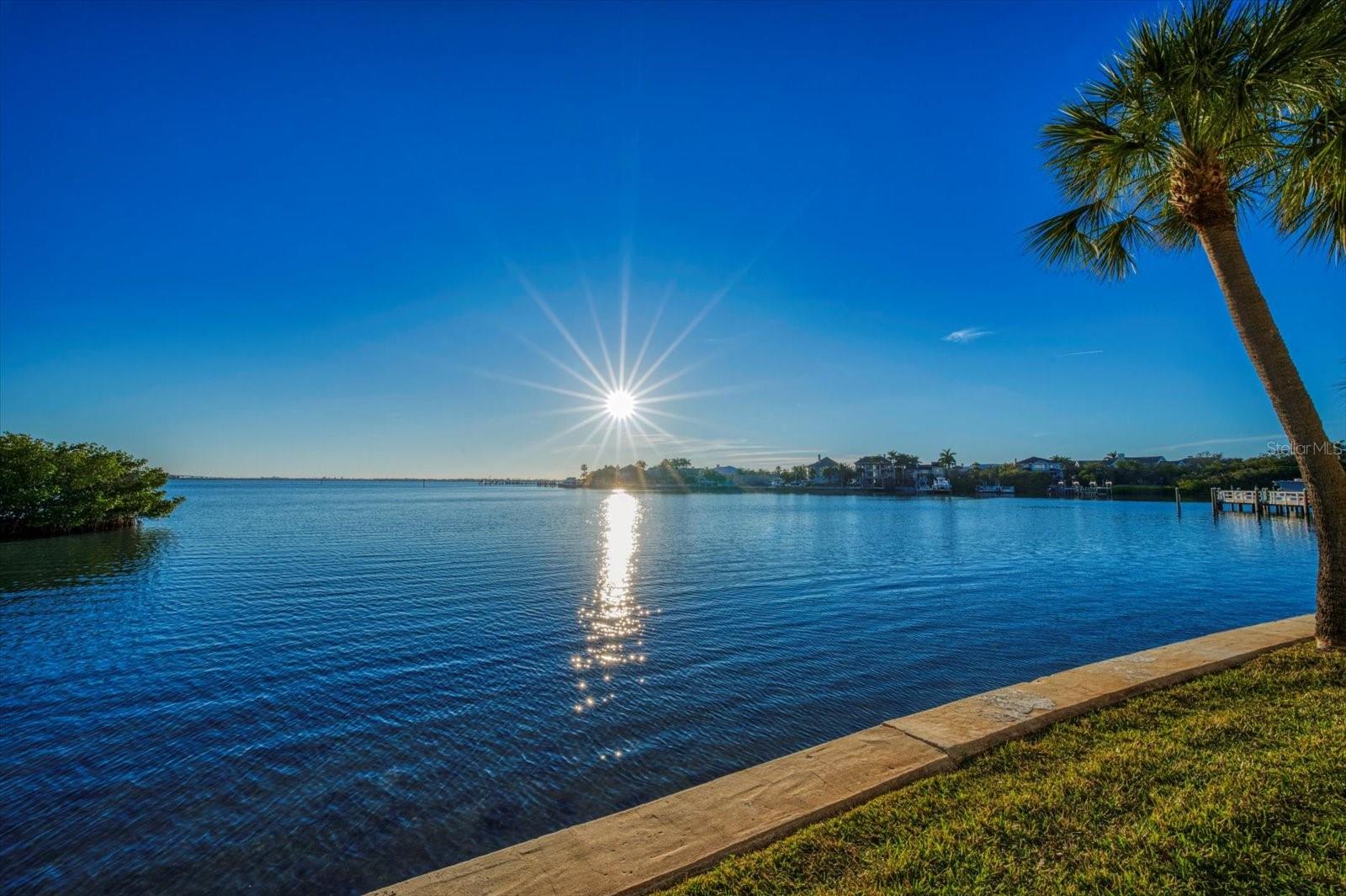 8 BELLEVIEW BLVD #203, BELLEAIR, FL — photo 11