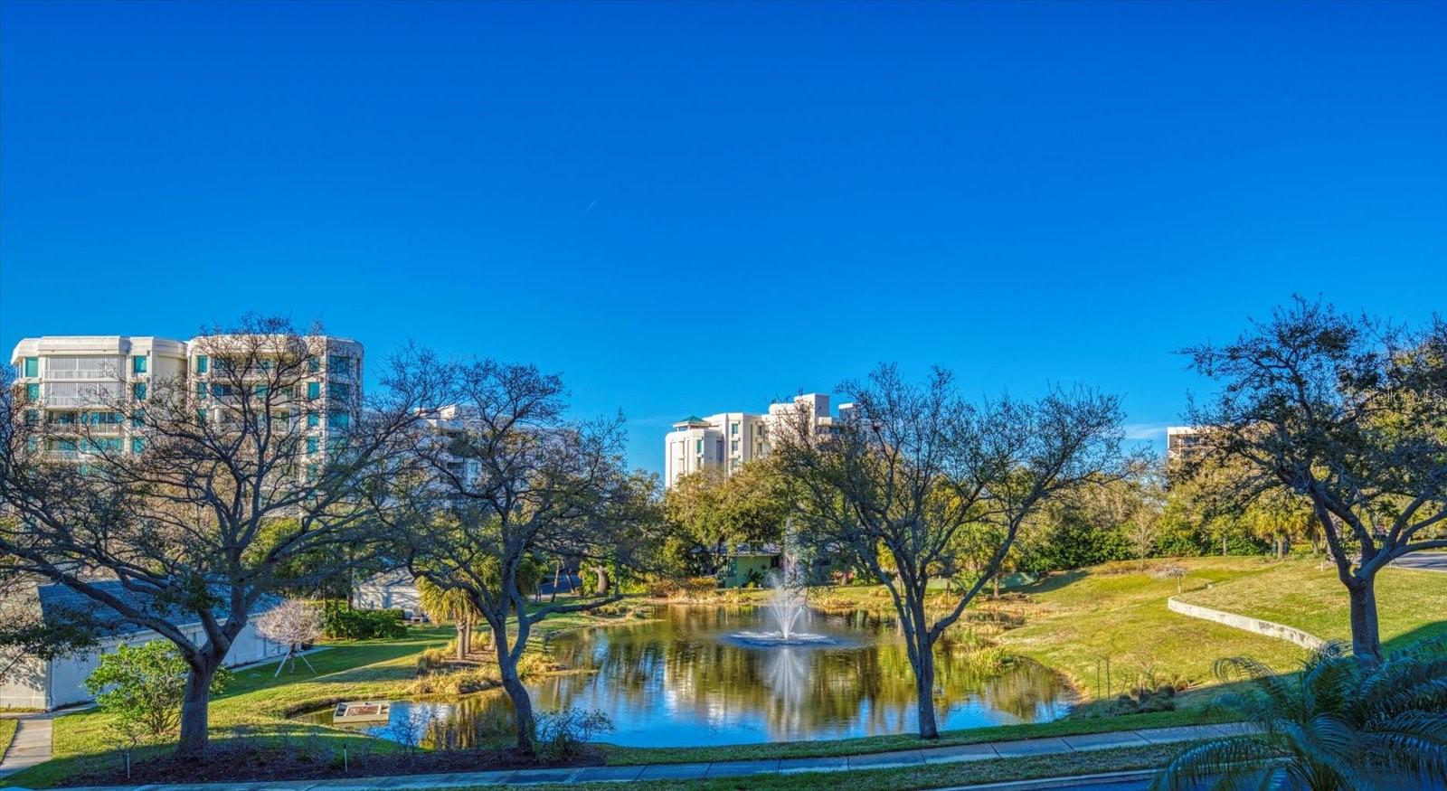 8 BELLEVIEW BLVD #203, BELLEAIR, FL — photo 14