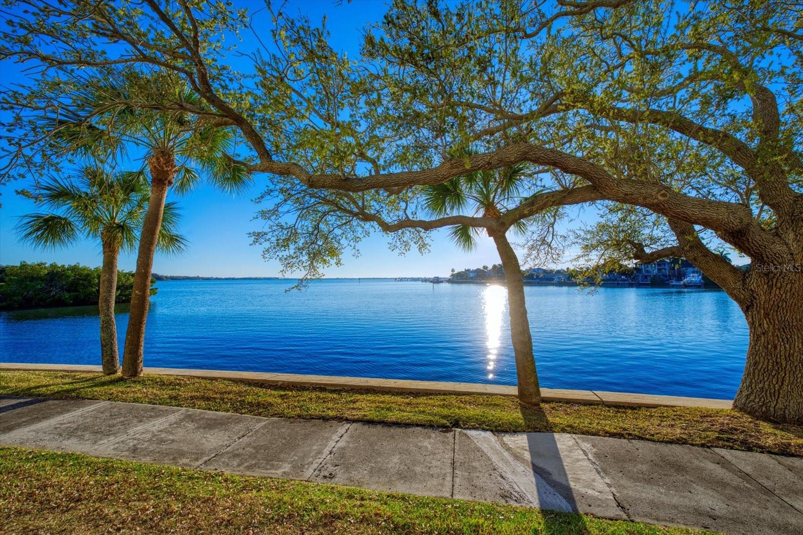 8 BELLEVIEW BLVD #203, BELLEAIR, FL — photo 49
