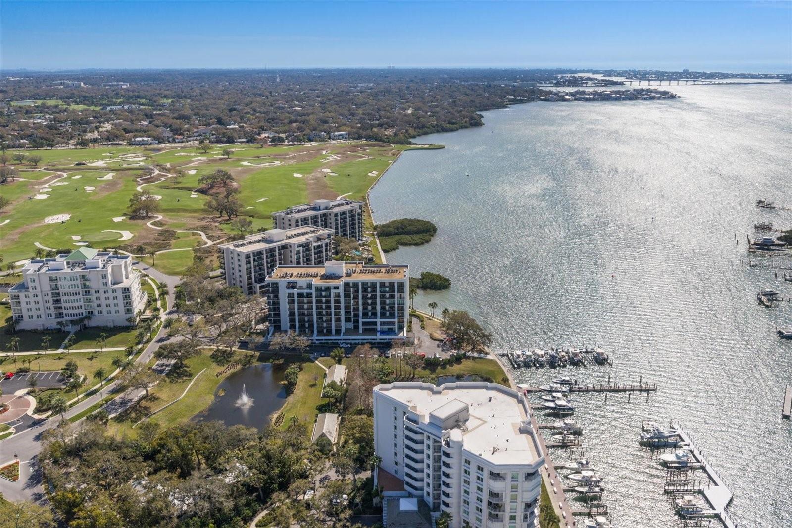 8 BELLEVIEW BLVD #203, BELLEAIR, FL — photo 55