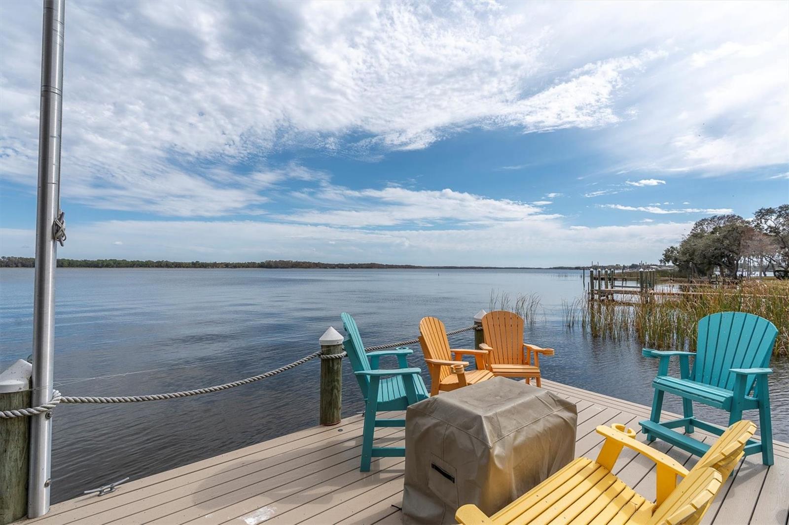 4650 RIDGE VIEW RD, PALM HARBOR, FL — photo 95