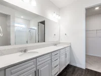 17615 BLAZING STAR CIR — photo 49