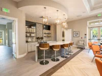17615 BLAZING STAR CIR — photo 97