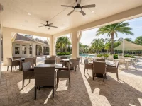 17615 BLAZING STAR CIR — photo 106