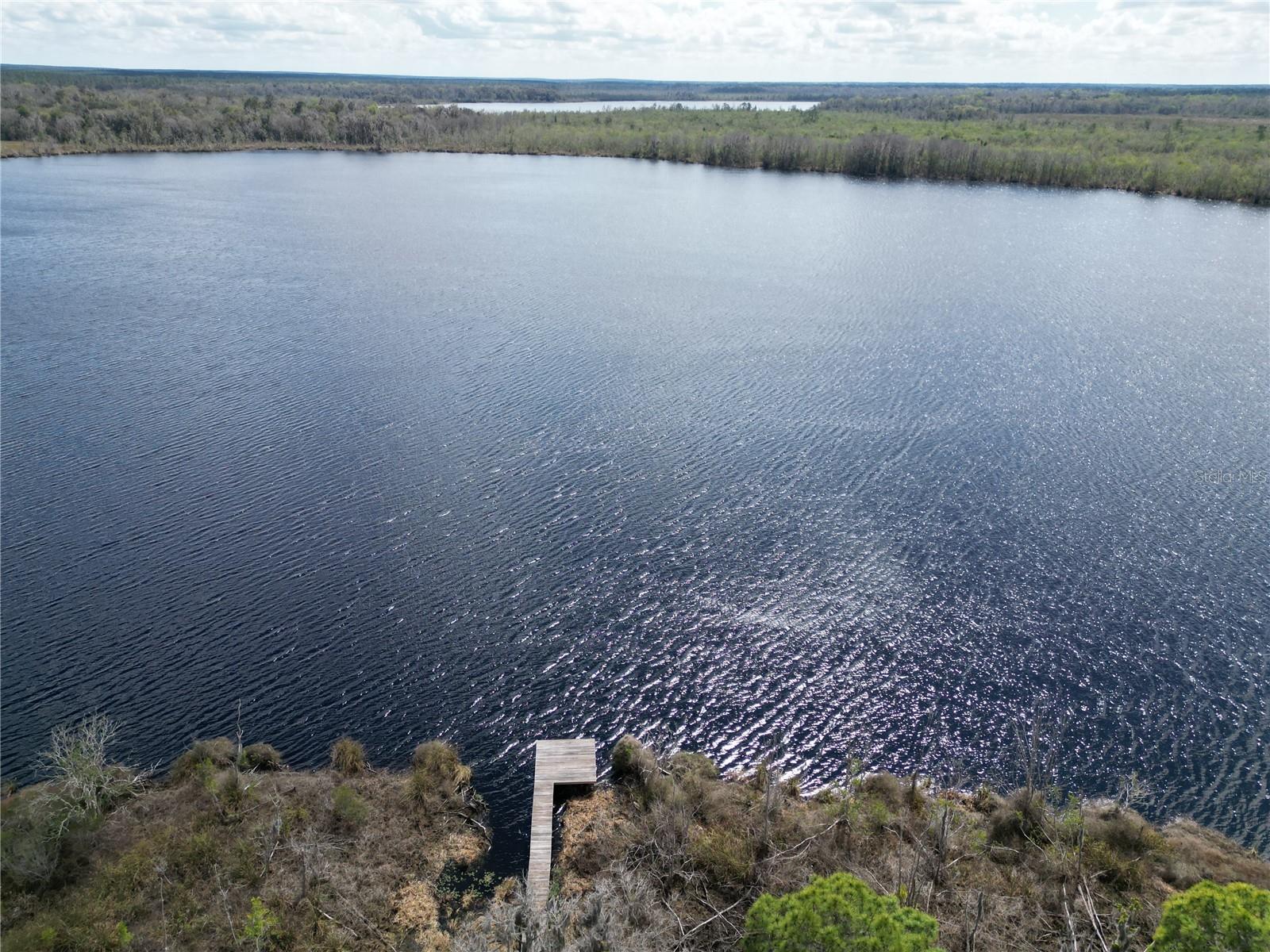 17830 NE 49TH STREET RD, SILVER SPRINGS, FL — photo 2